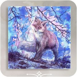 Renard boréal [M]
